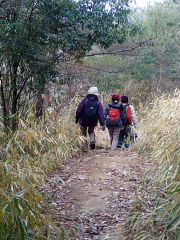 平坦な道になった